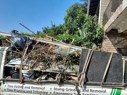 Best Foreclosure Cleanout  in Dwight, IL