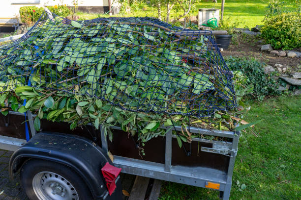 Best Dumpster Rental Services  in Dwight, IL
